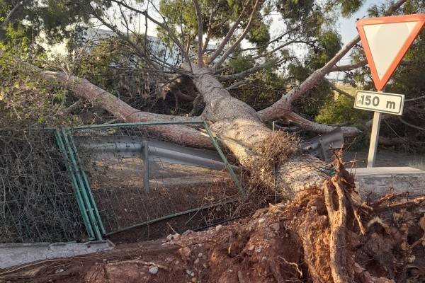De retirada d'obstacles a senyalització: Nules valora les actuacions després del temporal de pedra