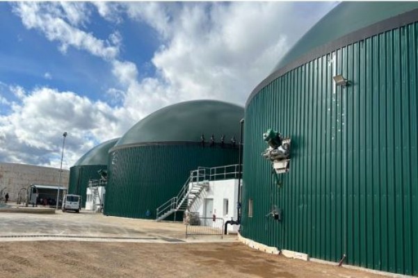 Canet, punta de lanza del biometano: Ence prevé invertir más de 20 millones en una nueva planta