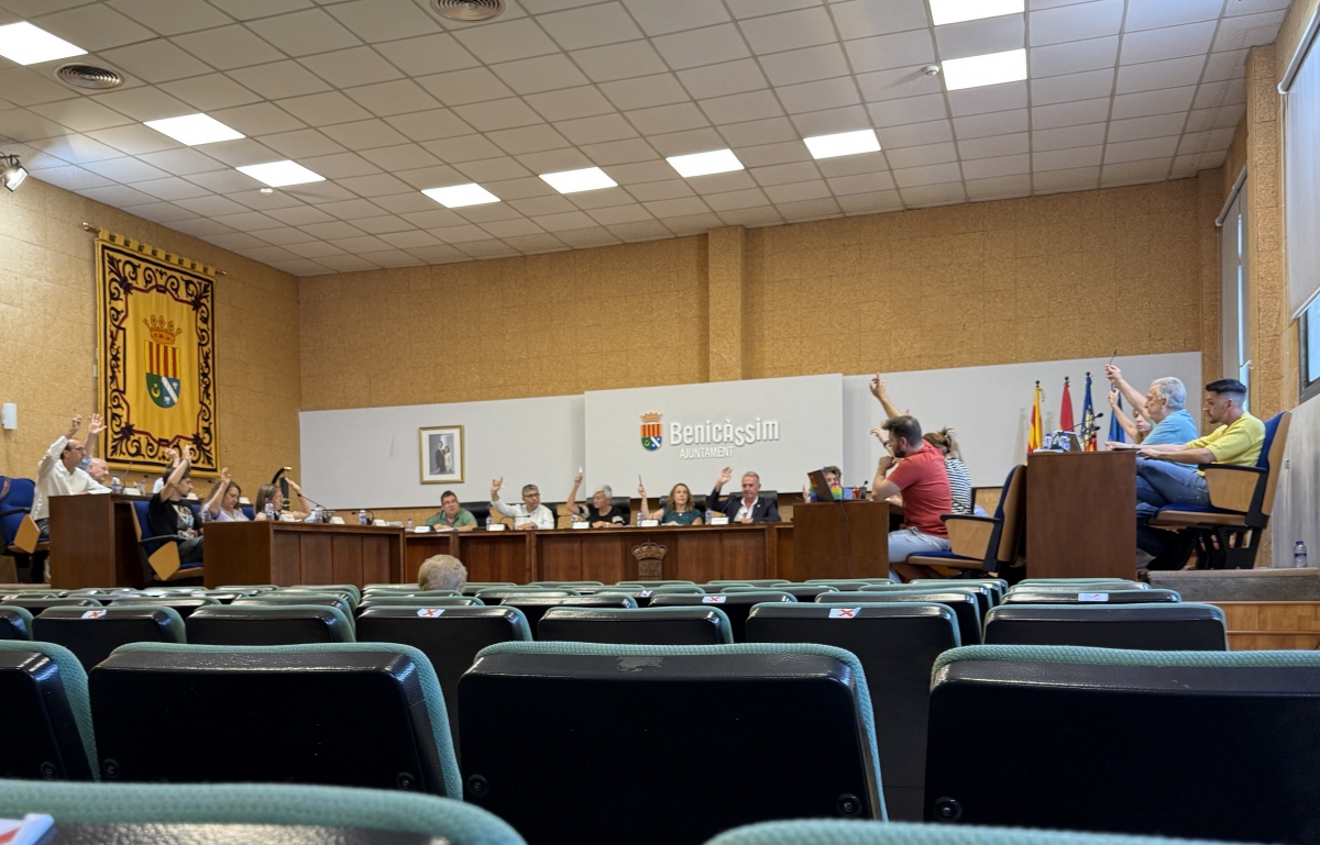 Imagen del Pleno celebrado este viernes - 