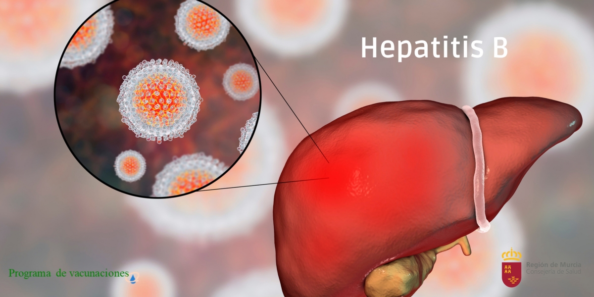 La Región de Murcia registra 38 casos de hepatitis A, 12 de hepatitis B y 124 de hepatitis C en 2024