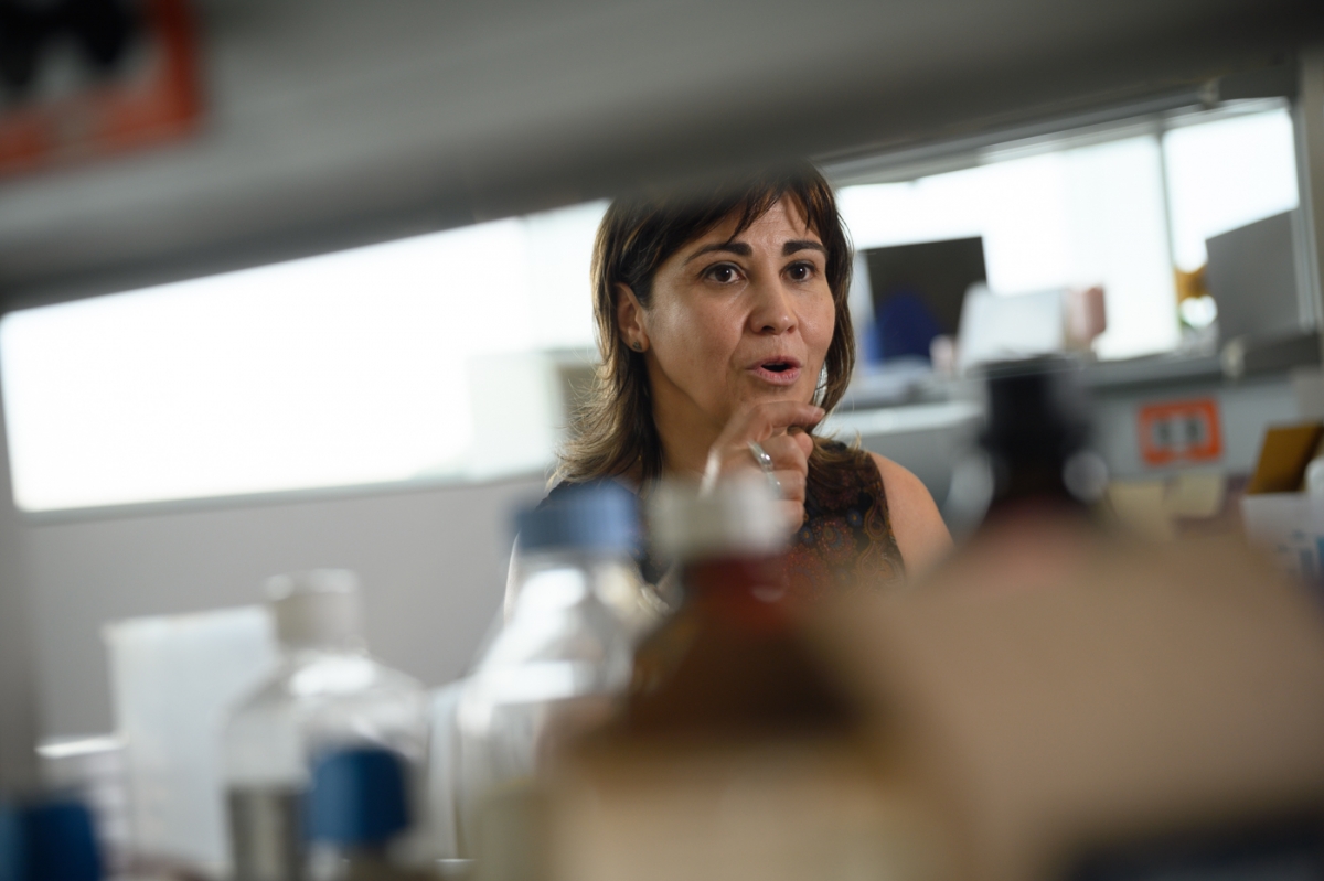 María Jesús Vicent, investigadora del CIPF