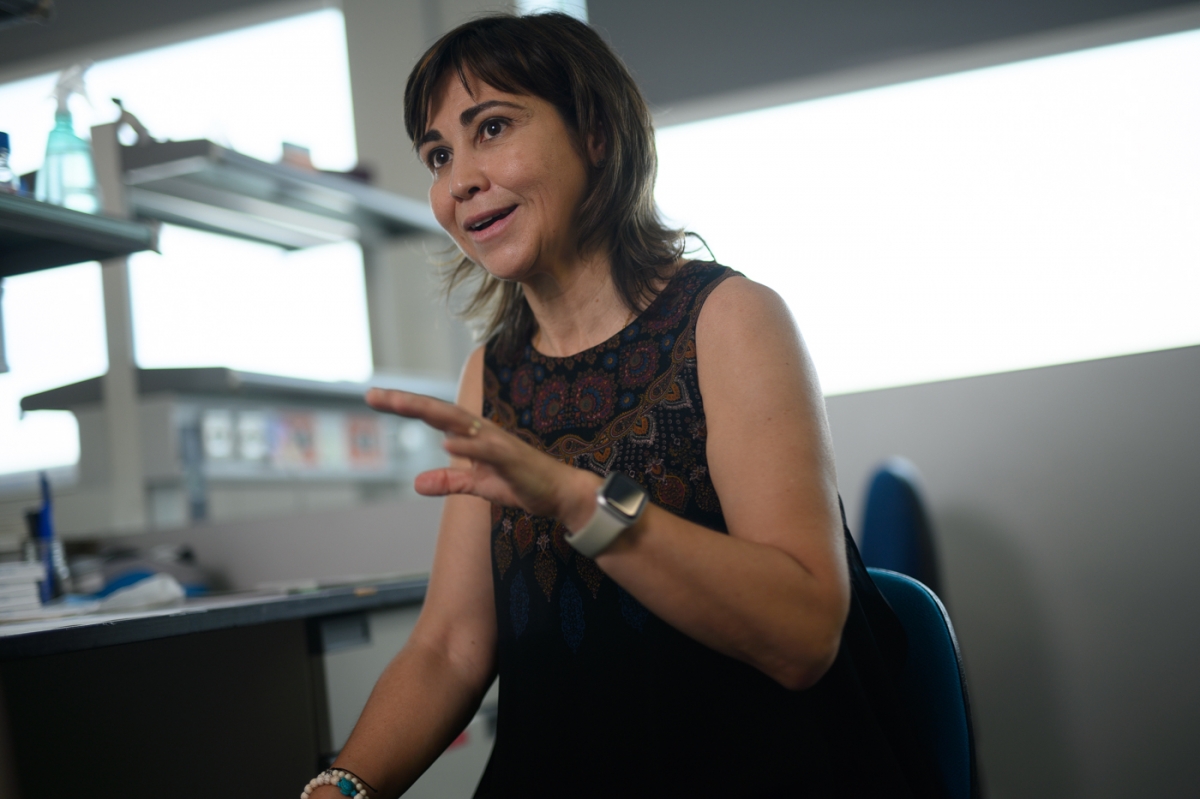 María Jesús Vicent, investigadora del CIPF