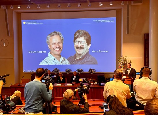 Nobel de Medicina premia a Victor Ambros y Gary Ruvkun por su descubrimiento del microARN