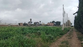 Adiós a los antiguos campos del Bovalar: Castelló activa la urbanización de 32.000 m2 para viviendas