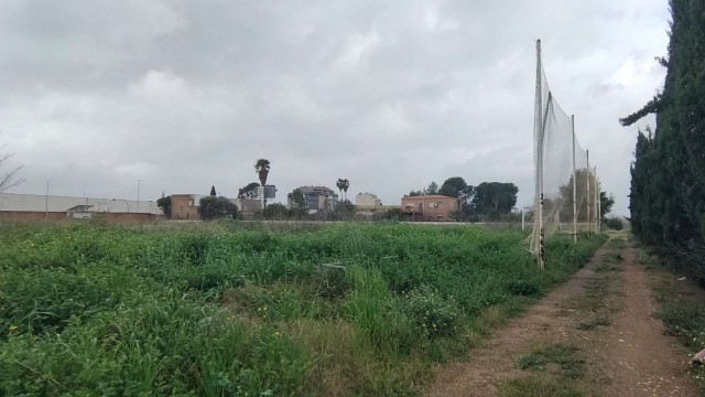 Adiós a los antiguos campos del Bovalar: Castelló activa la urbanización de 32.000 m2 para viviendas
