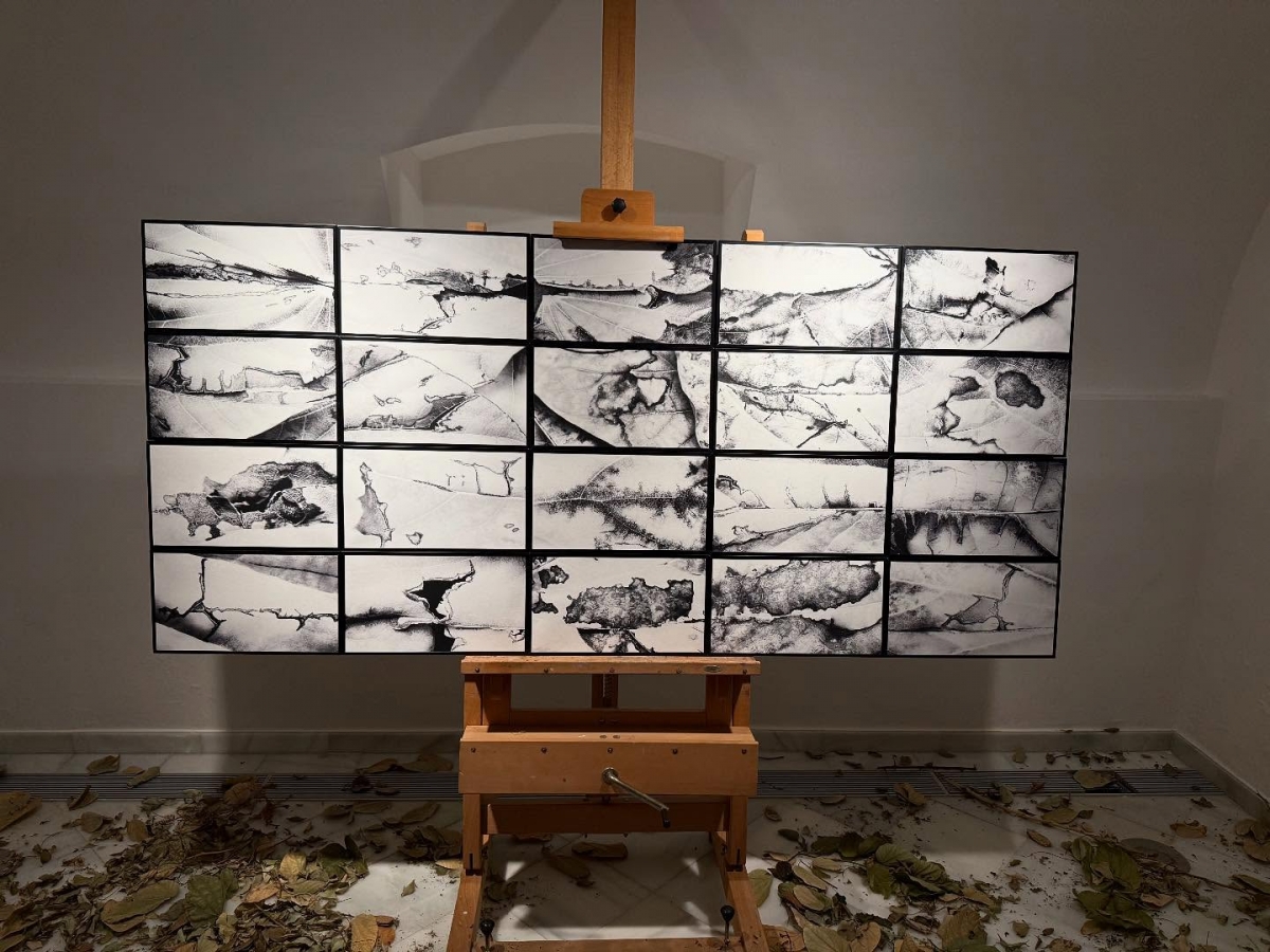  - Foto: AYTO. MAZARRRÓN