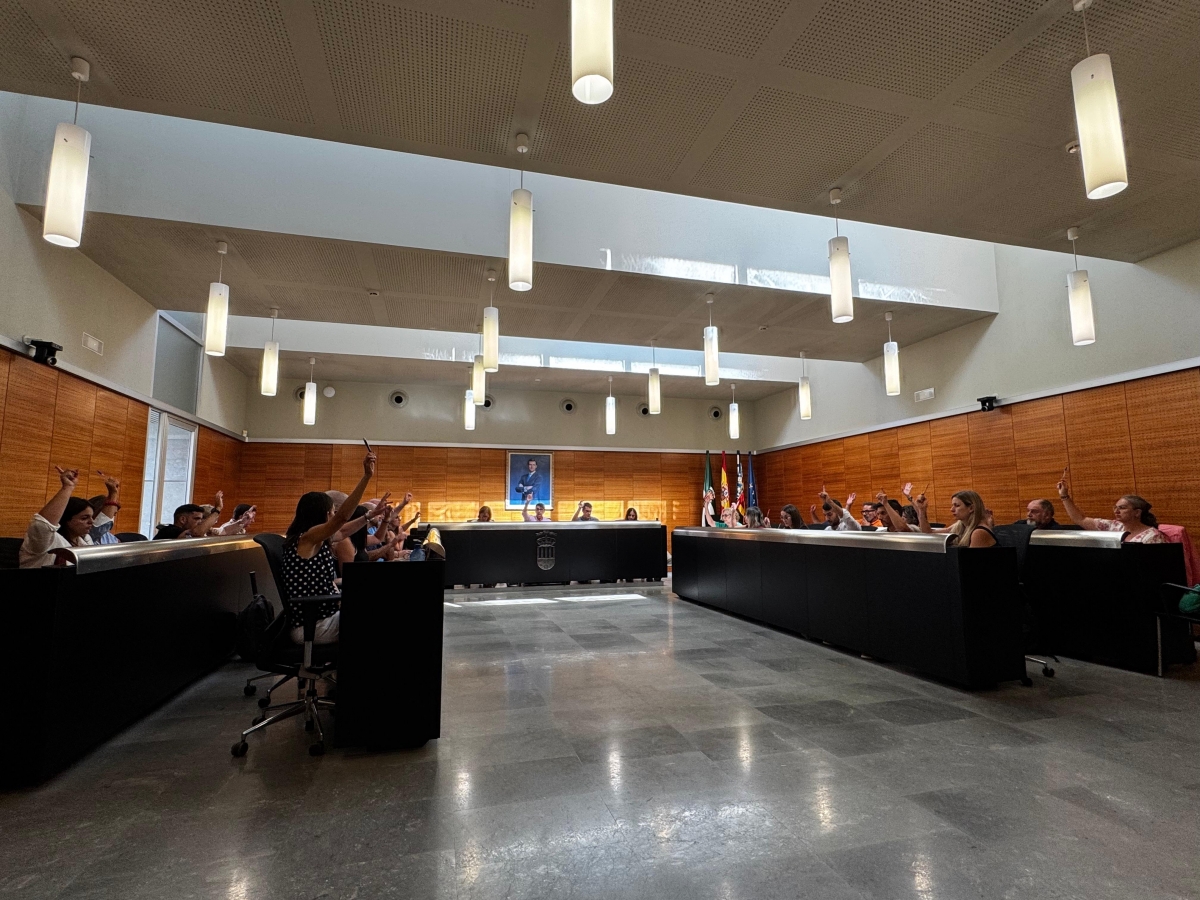 Pleno ordinario de julio de 2025 - 