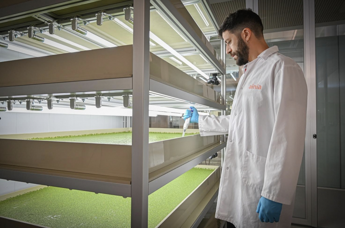 Ainia cifra su impacto social en 464 millones de euros