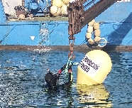 Señalizan las zonas donde no pueden fondear los barcos en el Mar Menor: el entorno de las islas Perdiguera y del Barón es para las nacras