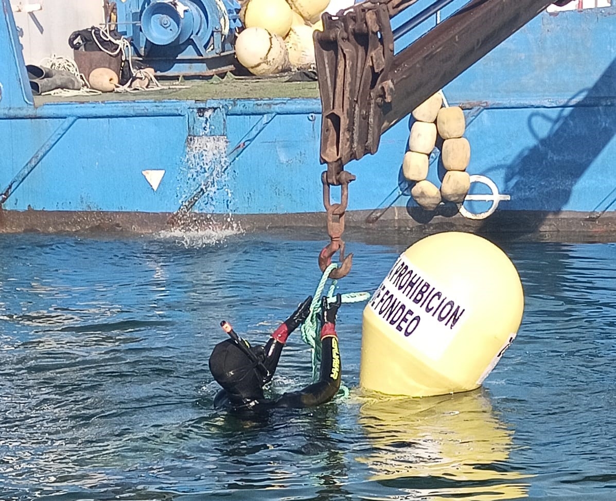 Un buzo coloca una de las boyas en el Mar Menor - Foto: CARM