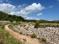 Oliva exige al Gobierno las obras pendientes en la presa de la Gallinera y se suma a modificar la Ley de Aguas por la Dana
