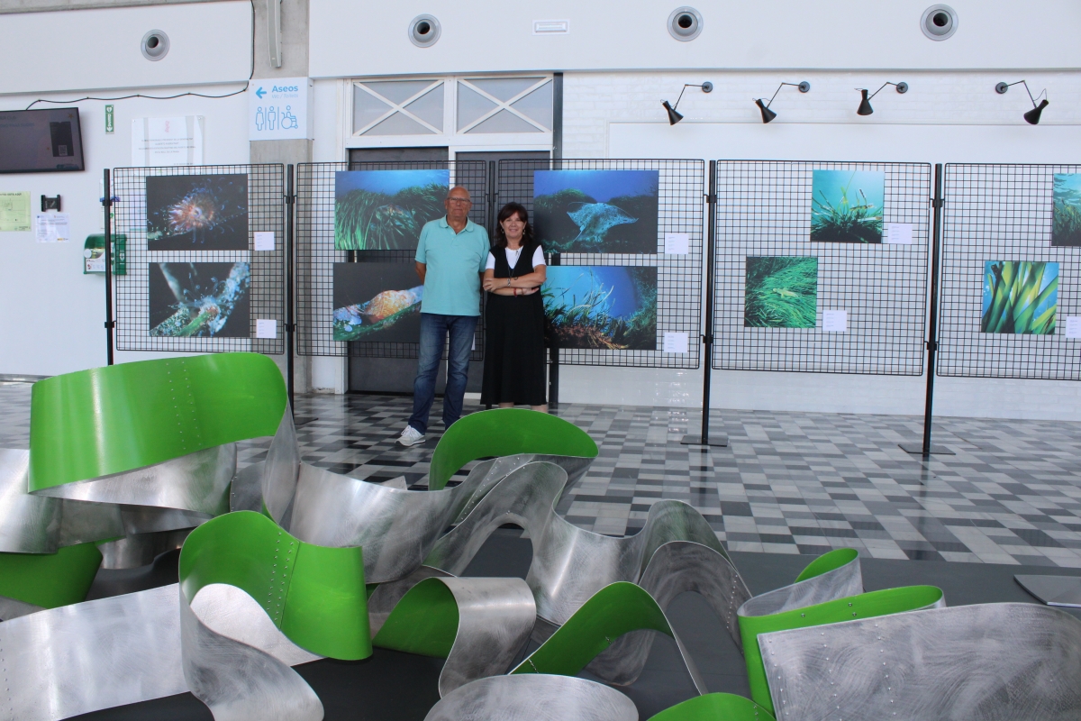 La estación marítima Baleària Port de Dénia exhibe 'La vida de la posidonia'
