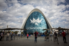 Avanqua, gestora del Oceanogràfic, factura 74,7 millones en 2024, un 8,2% más, y gana 11,4 millones 
