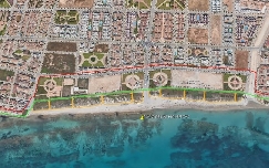 Agricultores de la Vega se encargará de la restauración ambiental de dunas en cinco playas del sur de Alicante