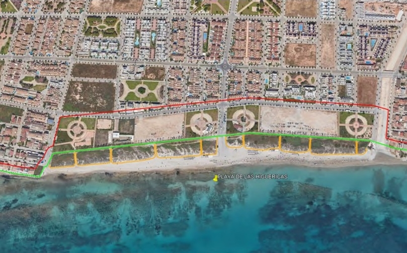 Agricultores de la Vega se encargará de la restauración ambiental de dunas en cinco playas del sur de Alicante