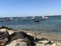Organizaciones ambientales exigen frenar la navegación descontrolada en el Mar Menor este verano