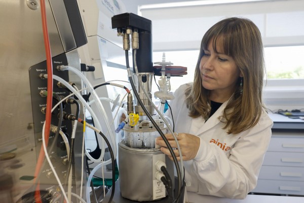 Carne cultivada en laboratorio o hidrógeno verde, claves de una industria sostenible