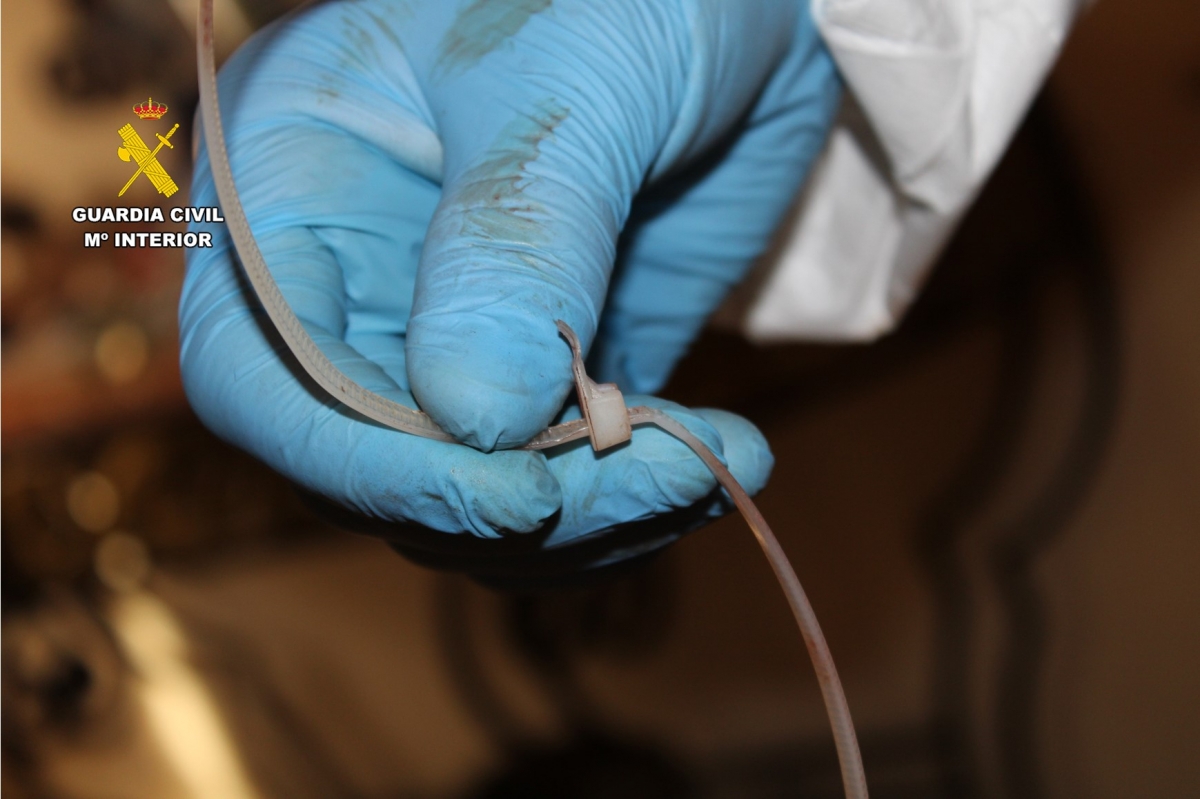 Un centenar de muestras recogidas en el crimen de una hotelera en Guardamar apuntan al hijo detenido