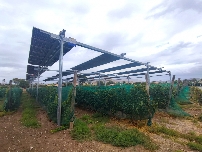 Casa Sicilia 1707 se suma a la revolución sostenible en sus viñedos con el proyecto Agrovitivoltaica