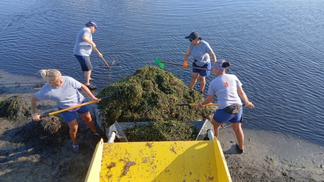 Más de 11.000 personas han retirado 4.200 toneladas de biomasa del litoral del Mar Menor desde enero