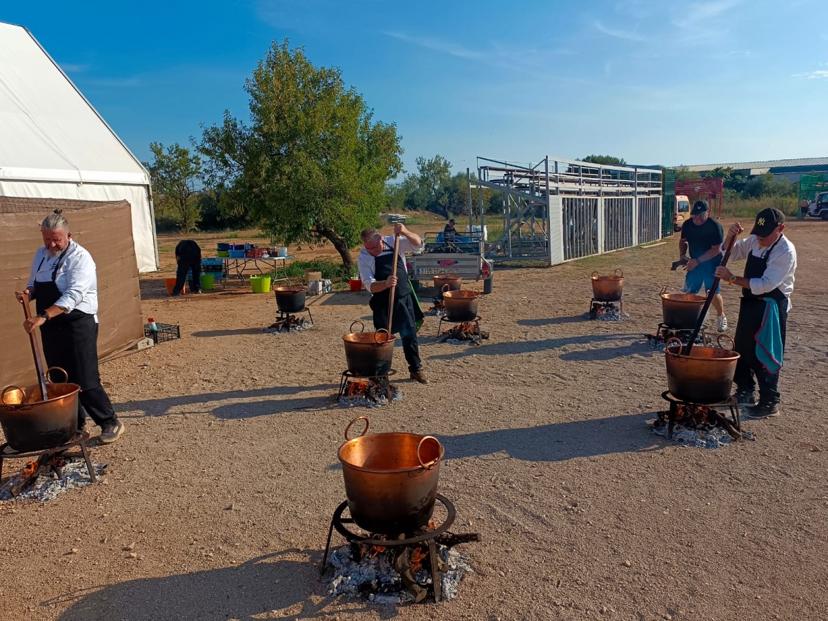 Concluyen las Fiestas Mayores de Sant Jordi con récord de participación