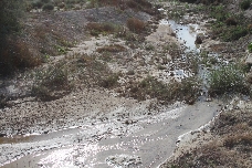 La CHS restaurará las cañadas de Mendoza y Morcillo en Molina de Segura y creará dos lagunas contra las riadas 