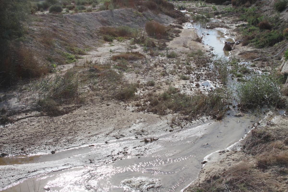 La CHS restaurará las cañadas de Mendoza y Morcillo en Molina de Segura y creará dos lagunas contra las riadas 