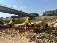 València inicia la limpieza del nuevo cauce del río Túria tras la dana
