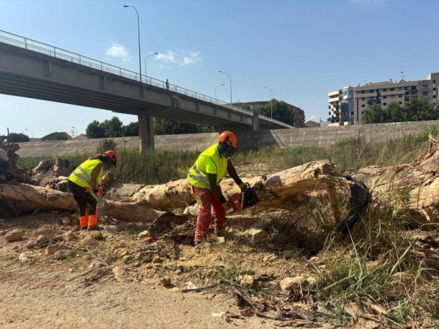 València inicia la limpieza del nuevo cauce del río Túria tras la dana