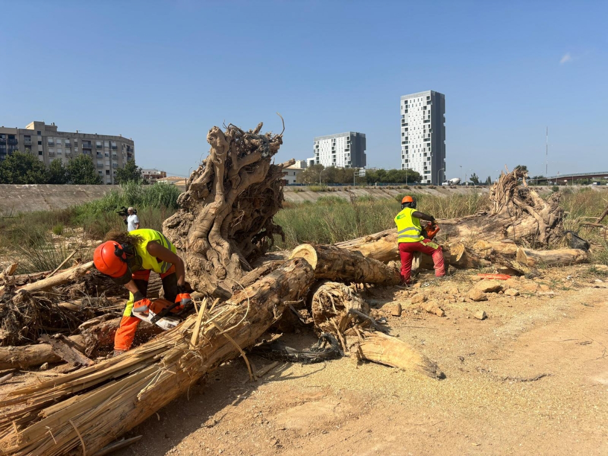 Trabajos de limpieza en el nuevo cauce del río Turia - Foto: AYUNTAMIENTO DE VALÈNCIA Trabajos de limpieza en el nuevo cauce del río Turia