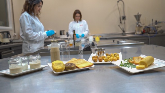 REDIT genera una inversión en I+D+i de la Comunitat Valenciana superior a 223 millones de euros