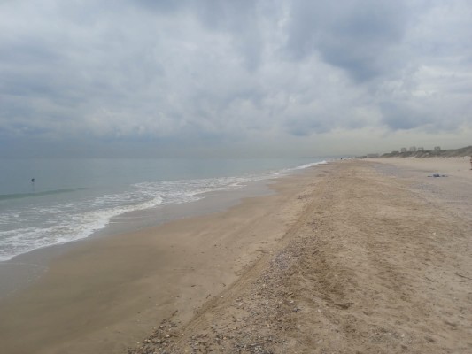 Sueca intensifica los controles de calidad del agua en playas ante los reiterados cierres