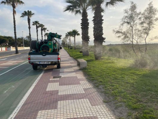 Castelló duplica el presupuesto para combatir la plaga de mosquitos con 270.000 euros en tres años