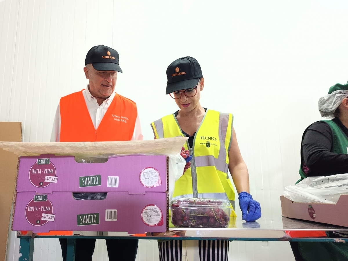 Garantizan el buen estado fitosanitario de la uva de mesa que exporta la Región de Murcia