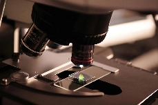 La Generalitat lanza convocatoria del Plan GenT2 para "atraer y consolidar el talento investigador excelente"