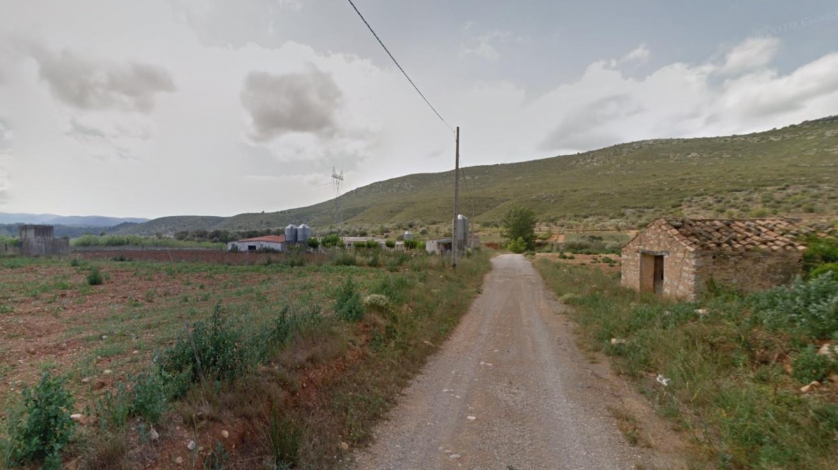 El Consell autoriza construir cinco nuevas granjas ganaderas mientras tramita una macroplanta de purines