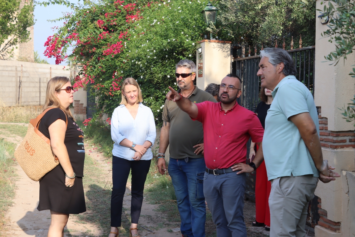 Vila-real estudia acciones y zonas para atajar la superpoblación de jabalíes en su término municipal