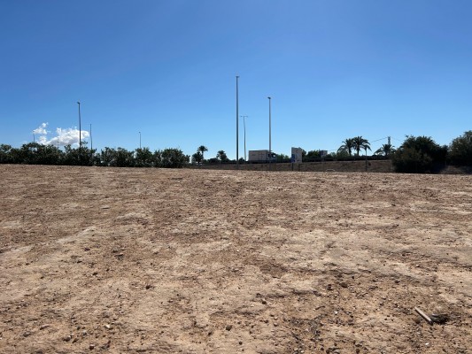 Elche adjudica ajardinar 40.000 metros en parte de la Ronda Sur para seguir con 'Elx Natura'