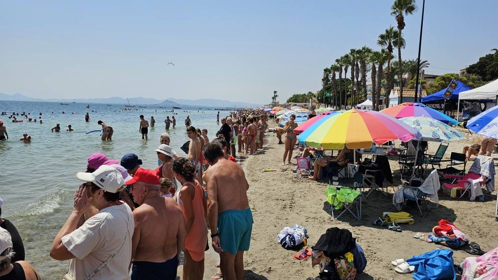  - Foto: AYTO. LOS ALCÁZARES