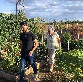 Castelló publica la convocatoria de sus seis huertos urbanos: cuenta con 40 bancales y 448 parcelas