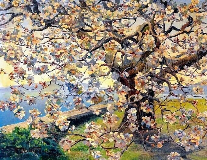 Blossoming Magnolia Tree - Foto: Fritz Berthold Neuhaus Blossoming Magnolia Tree