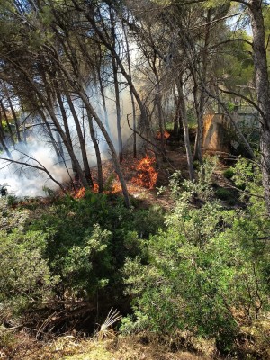 Un incendio en el Montgó obliga a desalojar a dos viviendas en Xàbia 