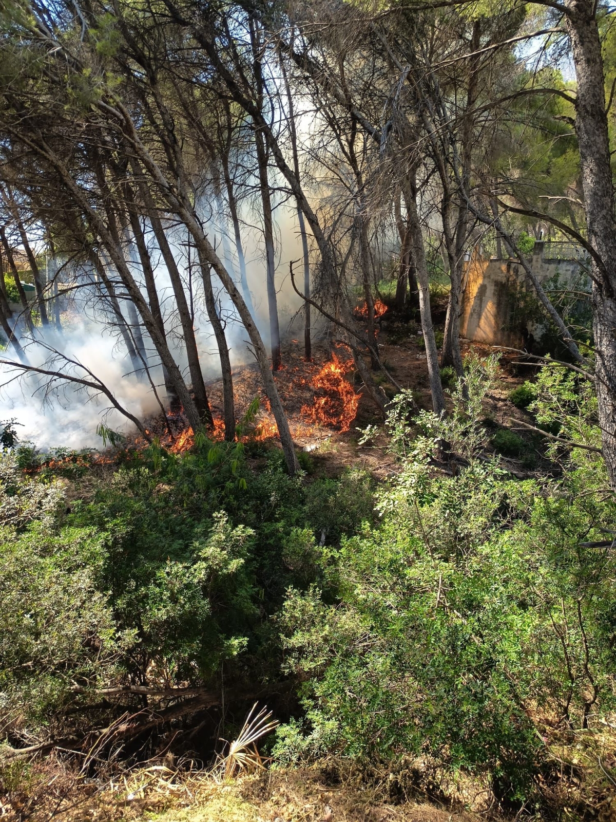 Un incendio en el Montgó obliga a desalojar a dos viviendas en Xàbia 