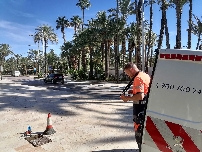 El consumo medio en Elche se reduce hasta los 102 litros por habitante y día