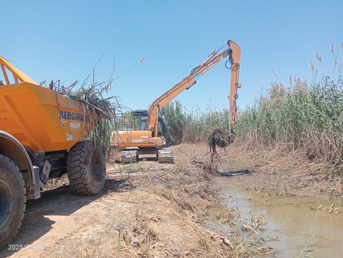 Trabajos de la CHJ en el Tancat de la Pipa. - Foto: CHJ Trabajos de la CHJ en el Tancat de la Pipa.