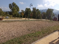 Un Alcoy más verde: se licita por 293.000 € mejorar la superficie vegetal de calles, parques y jardines 