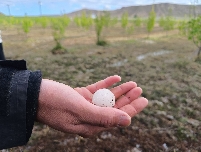 La Región destina otros 2,2 millones al seguro agrario y ya suma 7,2 millones en total