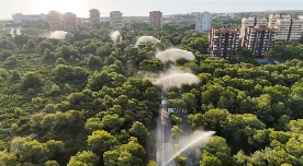 València activa los cañones de agua de la Devesa ante el riesgo extremo de incendios por ola de calor