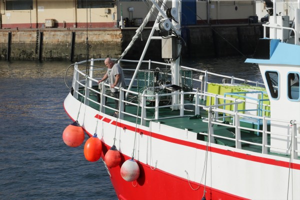 El TJUE anula los acuerdos comerciales de agricultura y pesca entre la UE y Marruecos