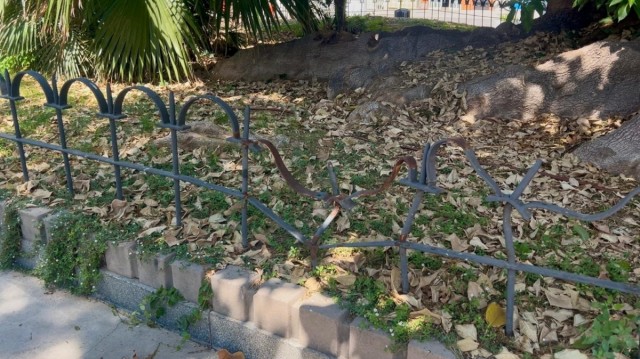 El PSOE de Cartagena denuncia la falta de cuidado de las zonas verdes del municipio